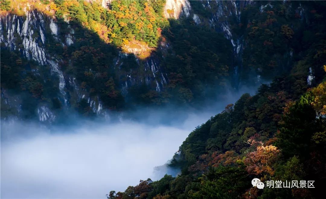 秋风似笔 描去了夏日的绿荫 画红了漫山的枫叶 山如黛 云似海 听秋雨