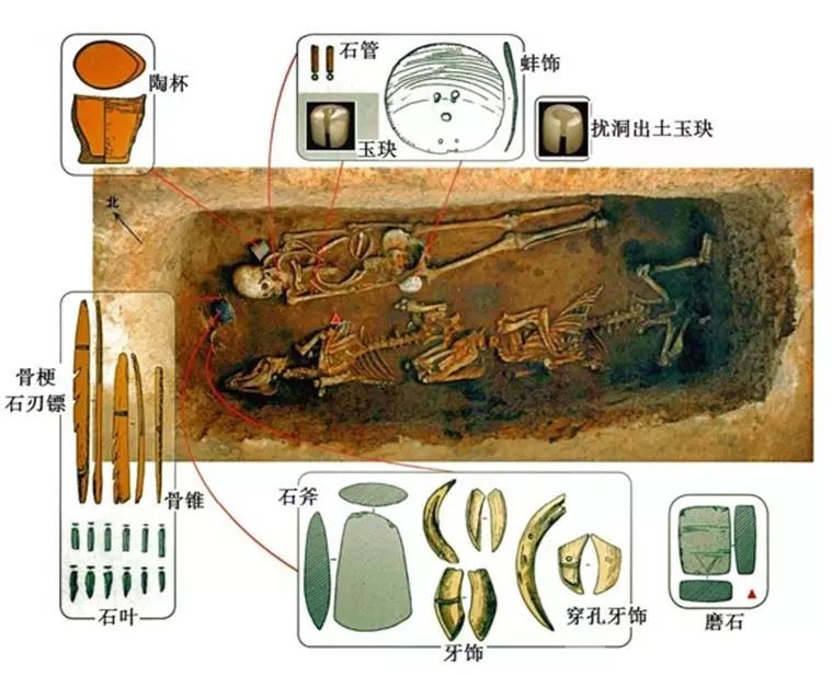 内蒙古敖汉旗兴隆洼遗址m118发掘照片与随葬物