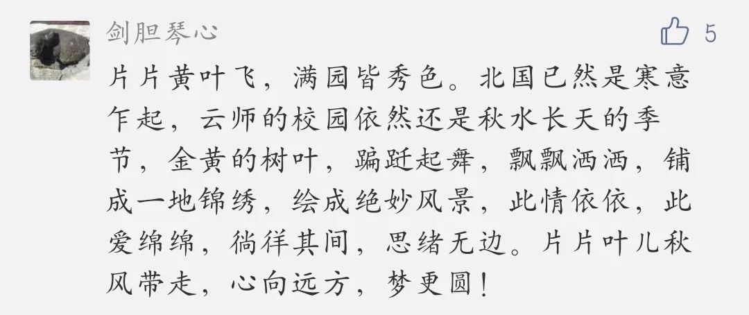 皎皎简谱_儿歌简谱