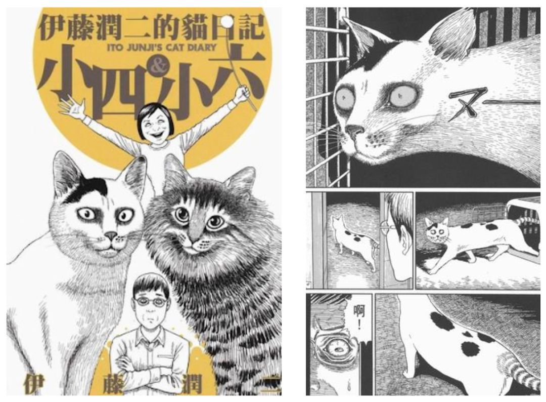 还是可爱得没话说 你可能不知道的漫画界猫主角们 猫咪