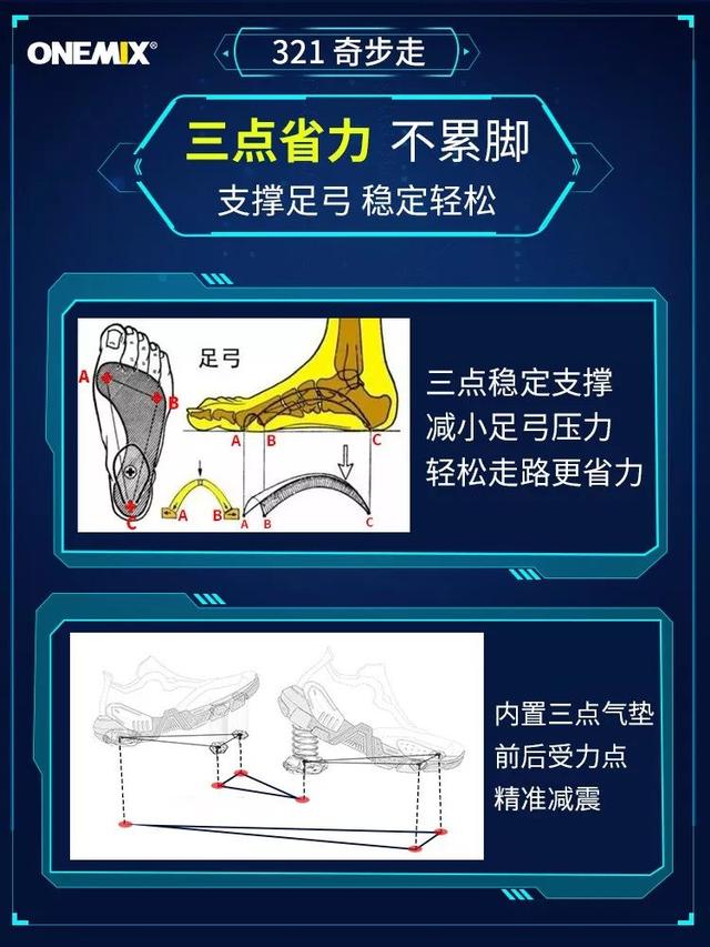 直立,行走,弹跳就会受到影响 "321"三点省力 在足底的三个受力点上