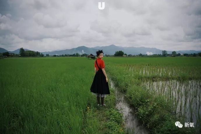 文章配图
