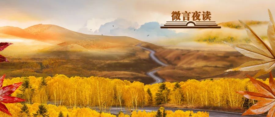 #微言教育#金秋赏银杏，这些知识讲给孩子听丨微言夜读 · 经典