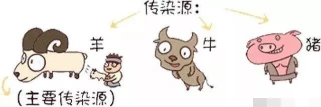 1什么是布病？布鲁氏菌病（简称布病），俗称蔫吧病、懒汉病、羊病等，是