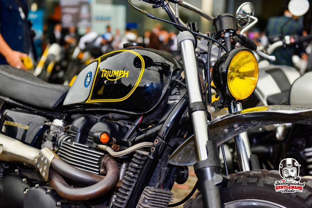 这才是上海骑士的风度与腔调,2019DGR