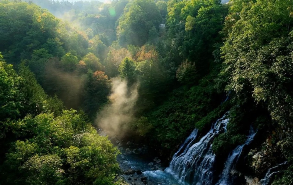 九重岩自然保护区,位于湘西土家族苗族自治州凤凰县, 森林覆盖率高达