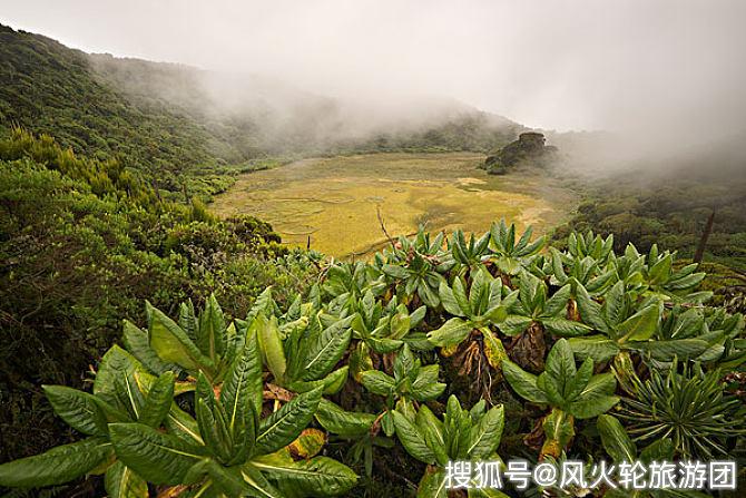 卢旺达90年代gdp_卢旺达 90年代还在惨绝人寰的战火之中,如今却在奇迹般的高速发展