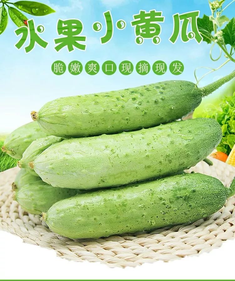 正宗水果小黄瓜 33700099f68a47f5889270d2a83137d8.jpeg
