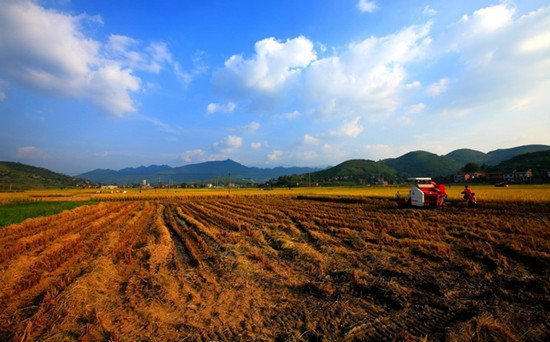 农村土地确权 人口_农村土地确权流程图(3)