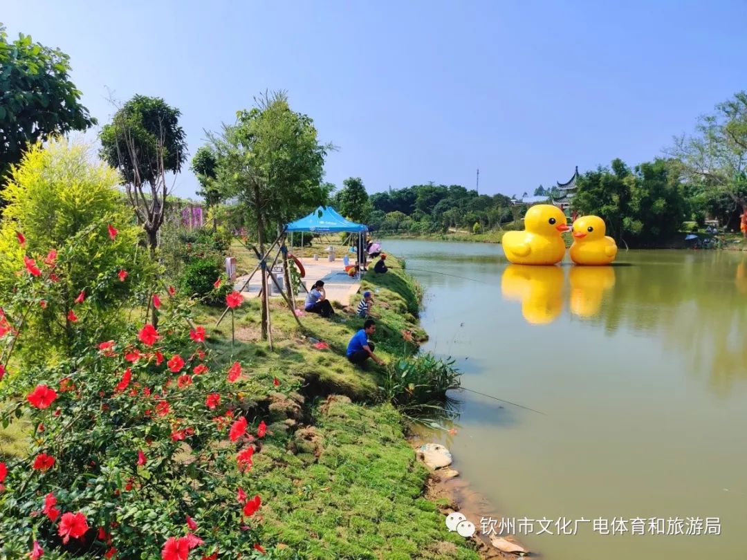 北部湾花卉小镇免门票入园(9:00-17:00) 二,地址 1,公交车:选乘平银