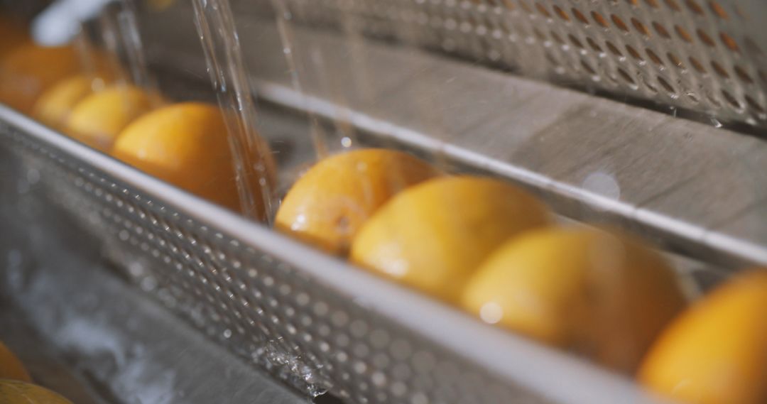 54aa687ff9ef46ecb315254652ee52e1.jpeg