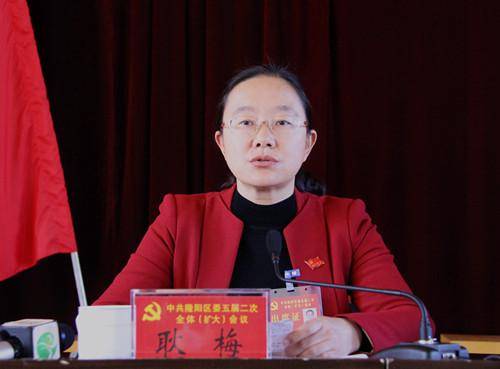 云南 保山市副市长 隆阳区委书记耿梅被调查