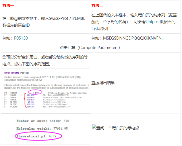如何查阅一个蛋白质的等电点?