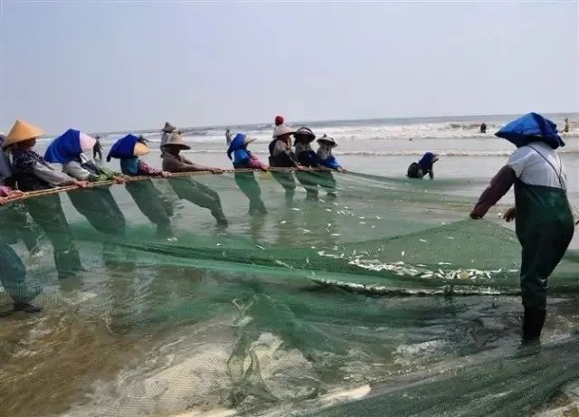 水产养殖排名_水产养殖图片(2)