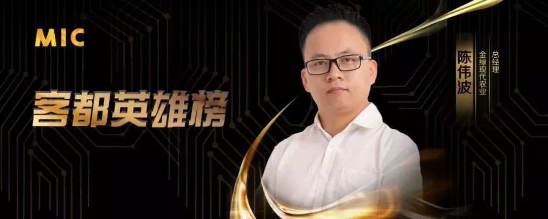 金绿现代农业总经理陈伟波: 放飞白鸽,放飞梦想