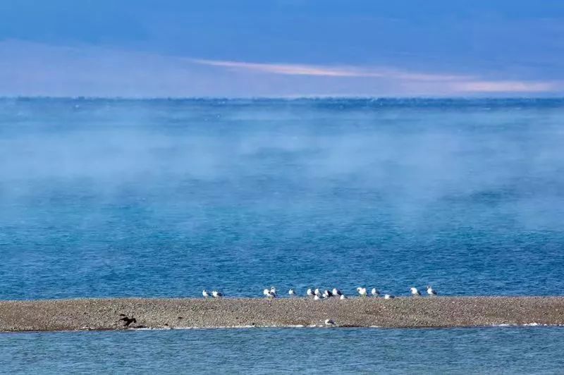 蓝色的忧伤什么意思 7c07484e096f4dbbabbf8c849ed955b6.jpeg