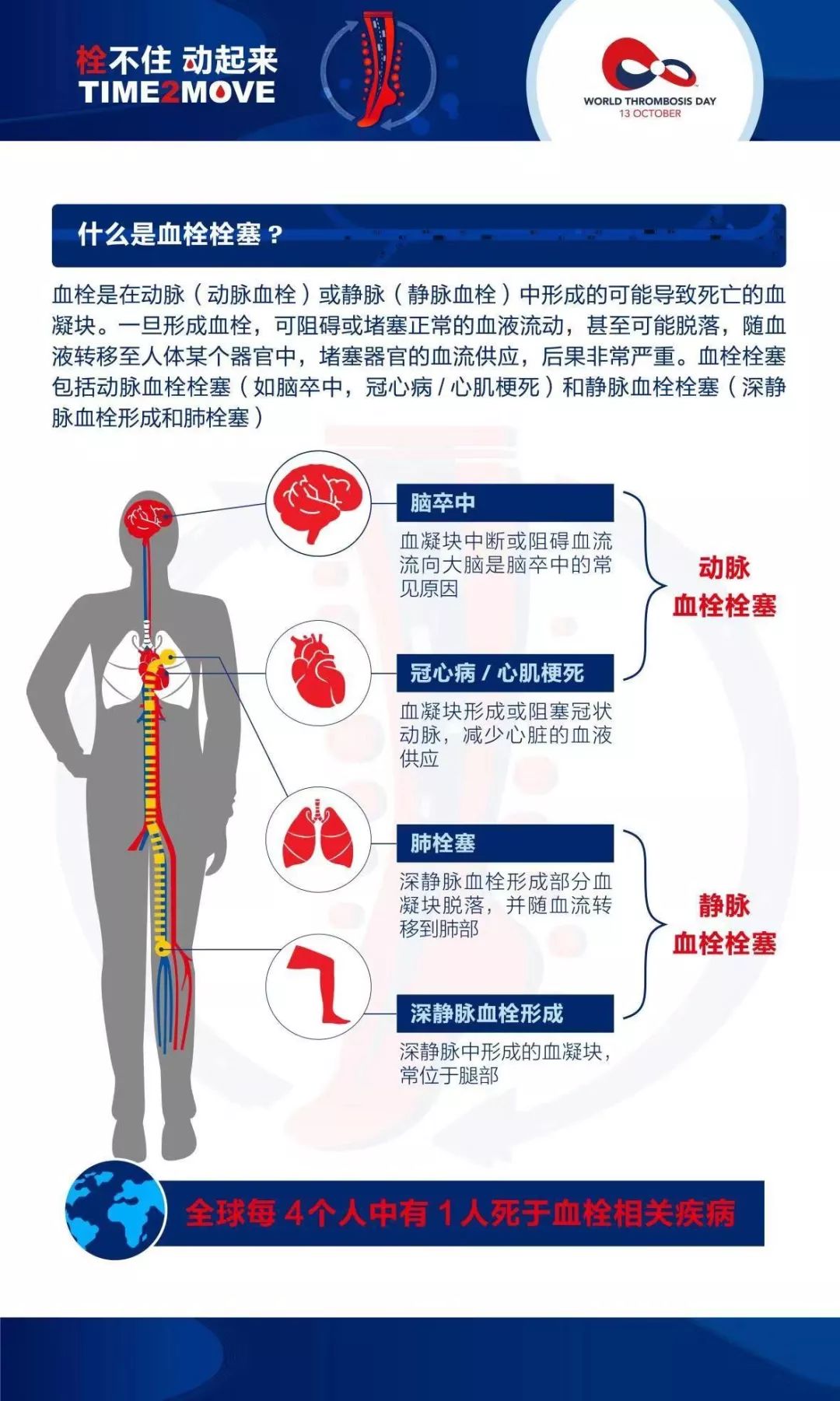 "世界血栓日"义诊