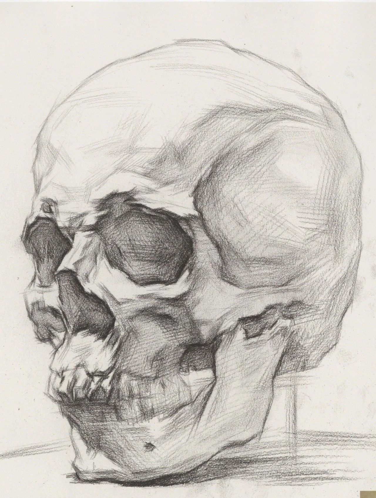 干货——从结构学习素描头骨的刻画细节