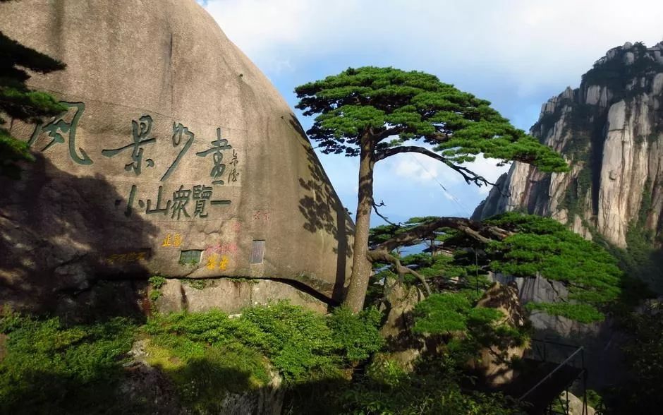 泰山币什么时候预约