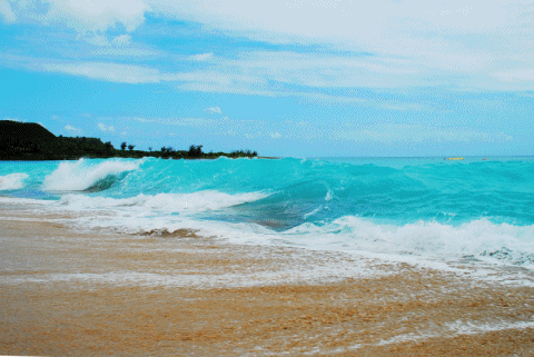 位处赤道的斯里兰卡天生是热带水果的天堂,水果种类之多,大街小巷