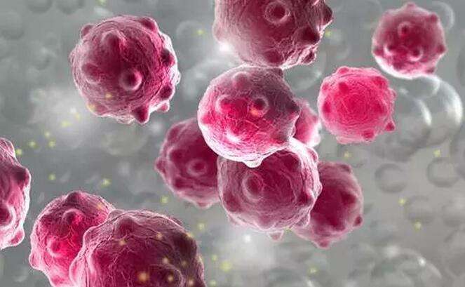 hpv病毒会感染肺吗 9610ef7f9e674f1aaed7042d2d125875.jpeg