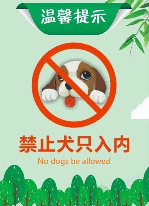 【倡议】文明养犬,从我做起!