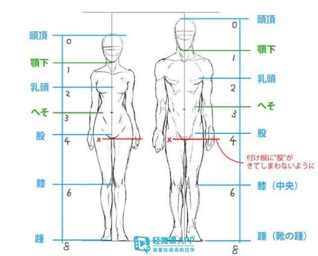 「深度干货」素描中怎么画好人体比例?