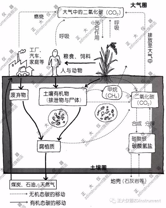 以土壤为中心的碳循环5.