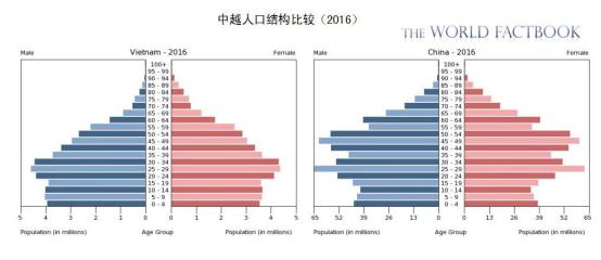 越南 人均收入_越南美女(3)