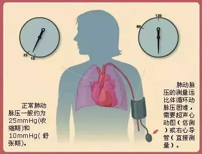 「小鱼网」“一个8岁女孩，吃伟哥5年，一年至少吃1095颗……”网友听后表态：支持！