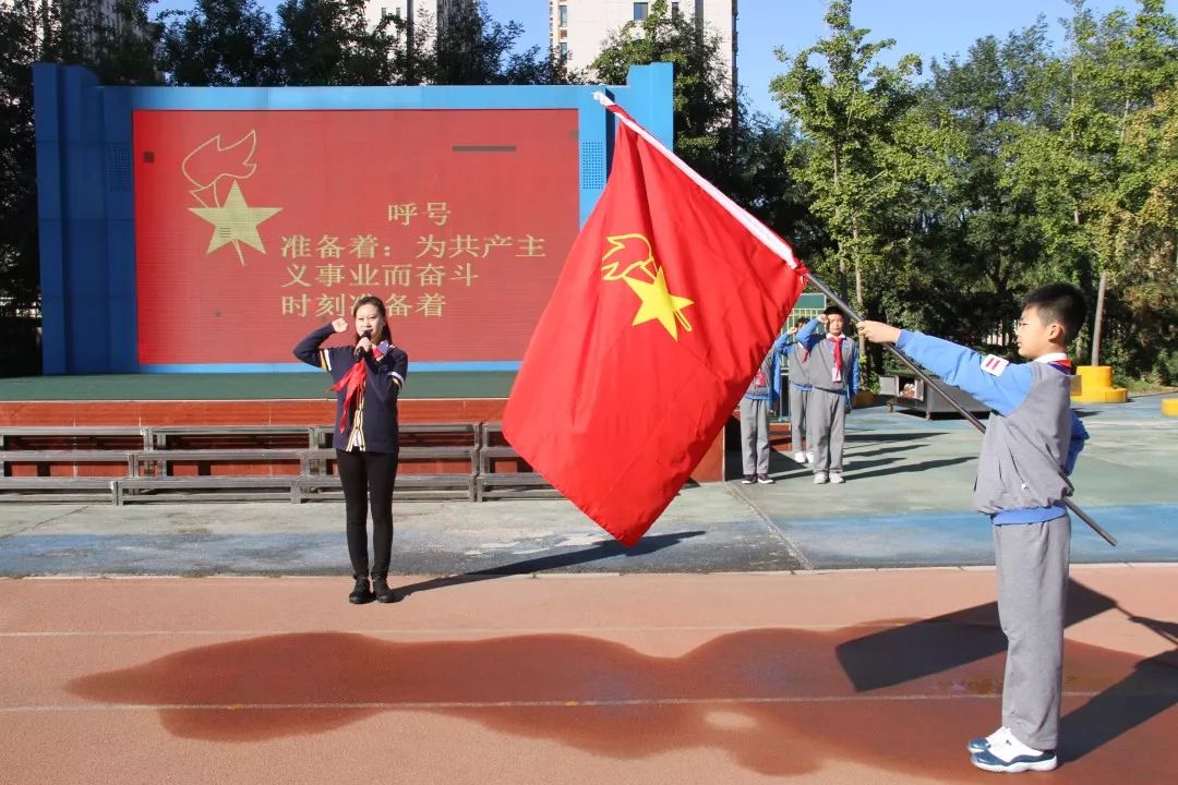 什么是少代会 c162a8480b834680be62b5a906c0e657.jpeg