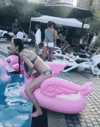 搞笑GIF: 女朋友骑大鹅跳水十几次就是单纯为了拍张美照? 终于成功了! _段子