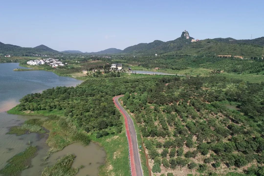 美翻马鞍山这条道路入选2019全国美丽乡村路