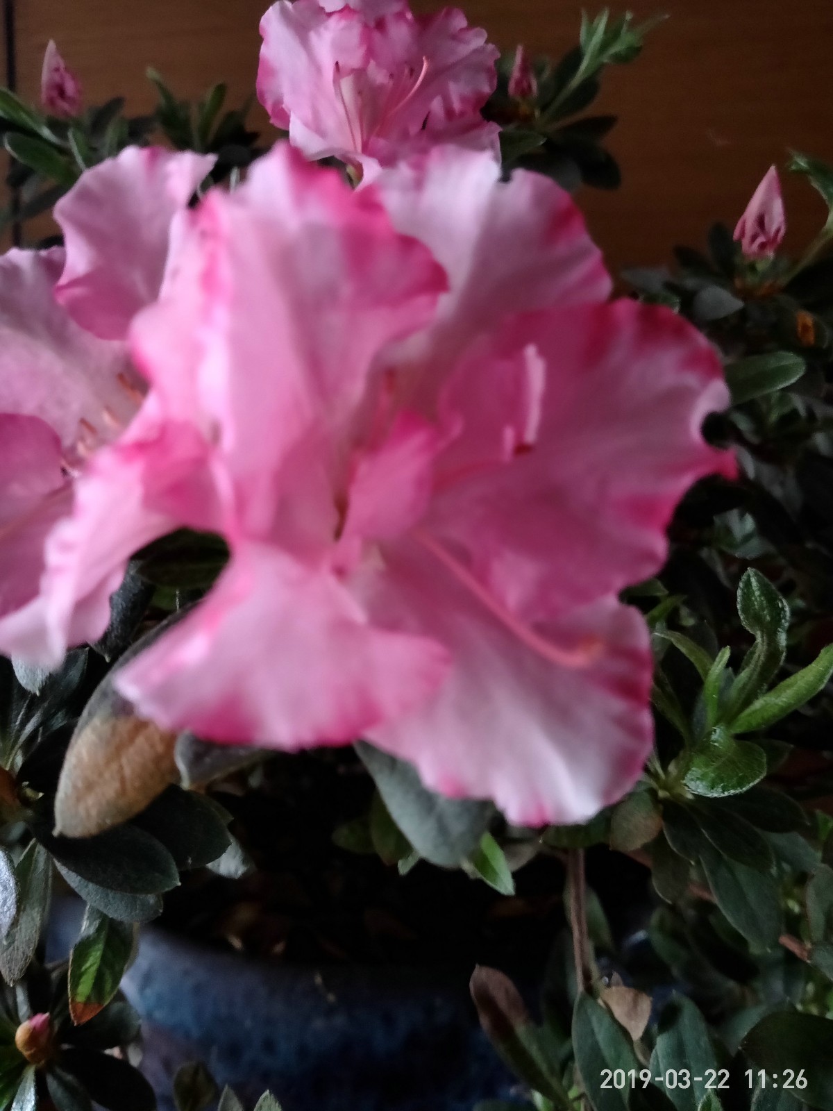 f4622270c3824075bd3f700334c97670.jpeg