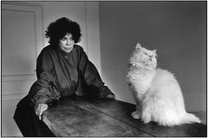 人怎么才能成名 04664f4575c146768d8eebe86a8f7ebb.jpeg