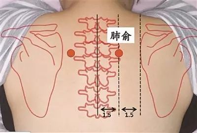 什么是外感风寒之邪 07219e10c0f14e2286118bcc43ffb95d.jpeg