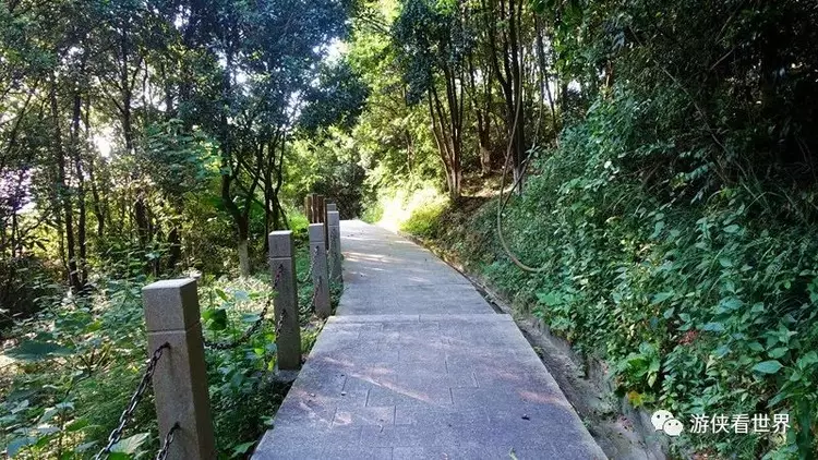 深圳绿道行:平峦山寻野路 远眺铁岗水库