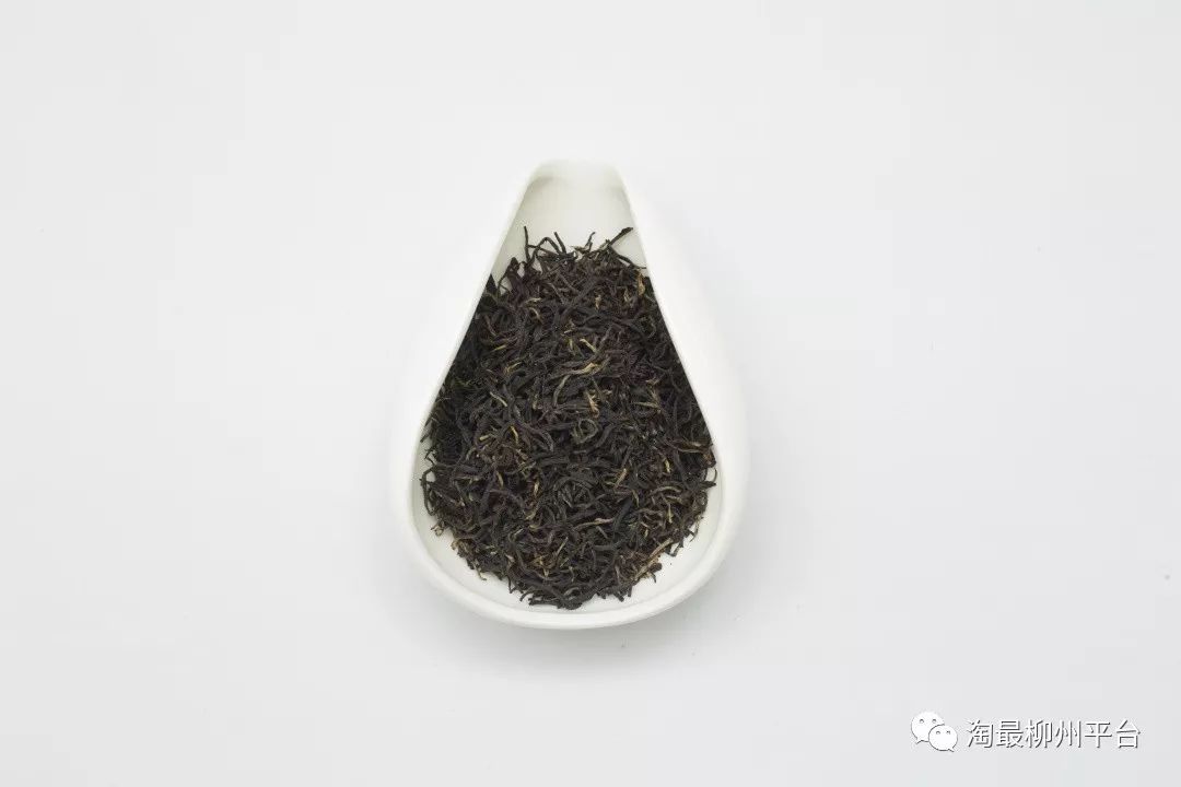 18 | 赏茶,品茶,买茶,"柳州红茶节"50 柳州茶企业