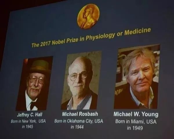 点击图片看原样大小图片