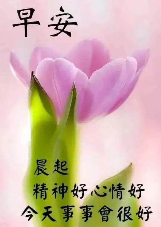 299af48a2d2b4d239bd58a8dbb1a3c42.jpeg