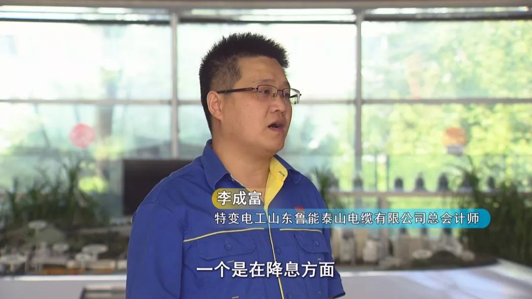 新泰经济总量_新泰张宸