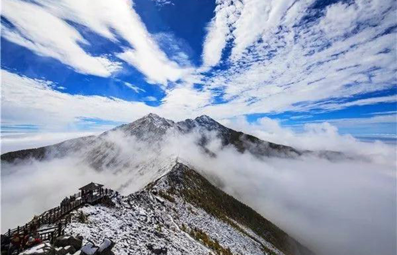 你哪里下雪了吗下雪的太白山玉树琼花粉雕玉琢犹如冷美人