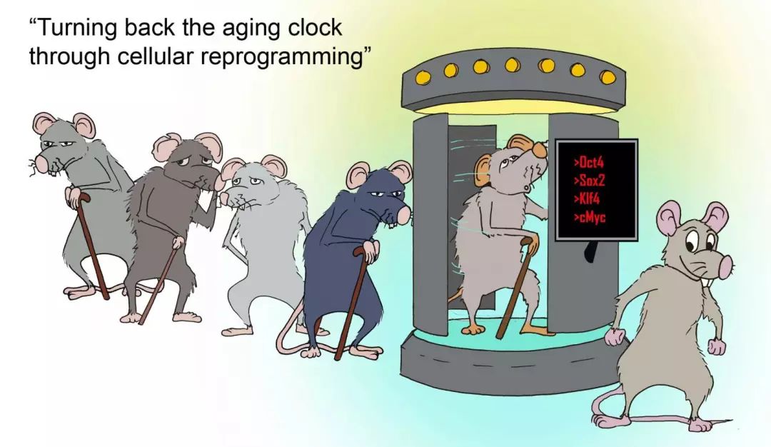 39e7f8e502e341a5bed6059b67ee197f.jpeg