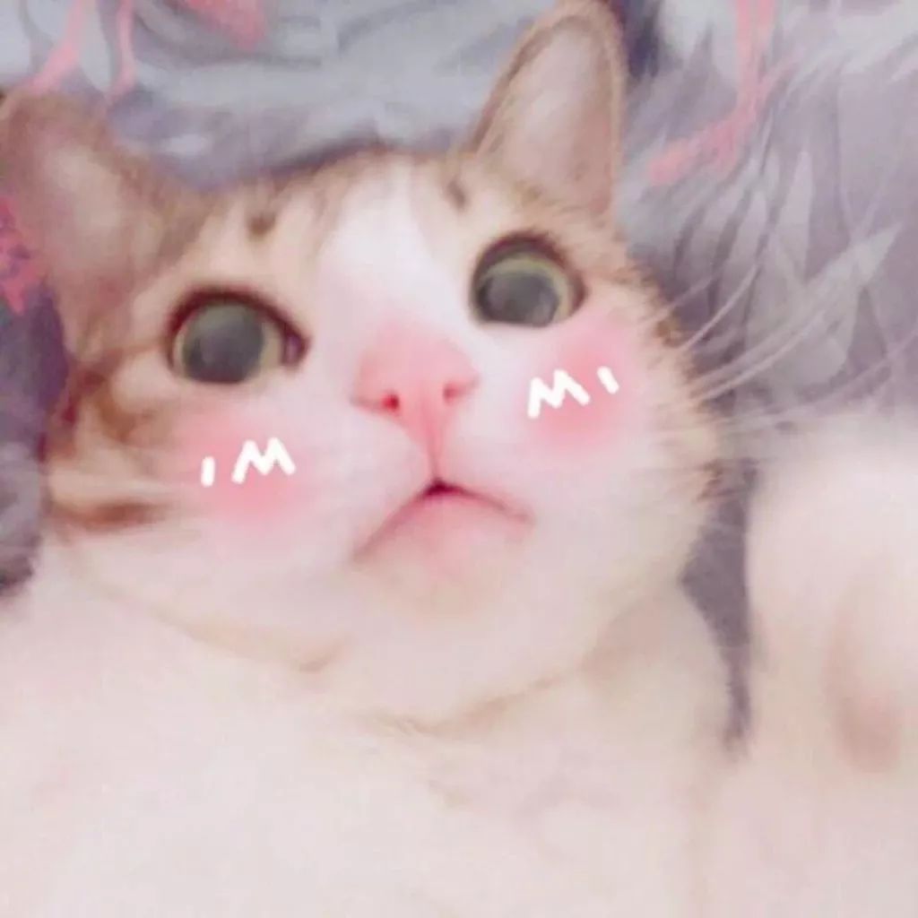 3c6579e2a66f48b59345009389e92150.jpeg