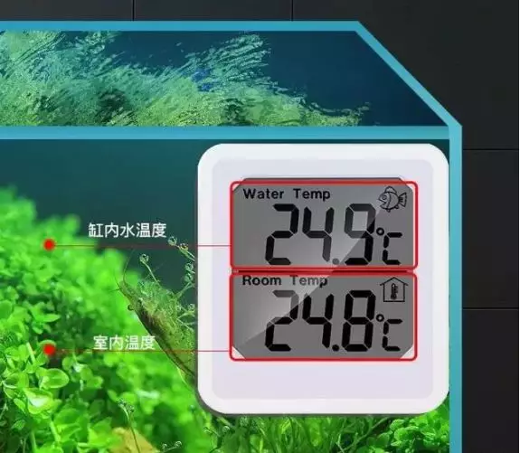 永红鱼缸温度计怎么看