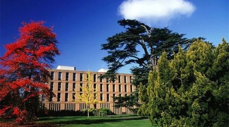 雷丁大学世界排名_雷丁大学教育学院(3)