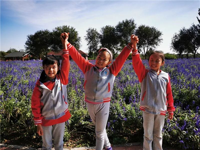 2019年10月15日,北京市门头沟区龙泉小学的同学们来到美丽的紫谷