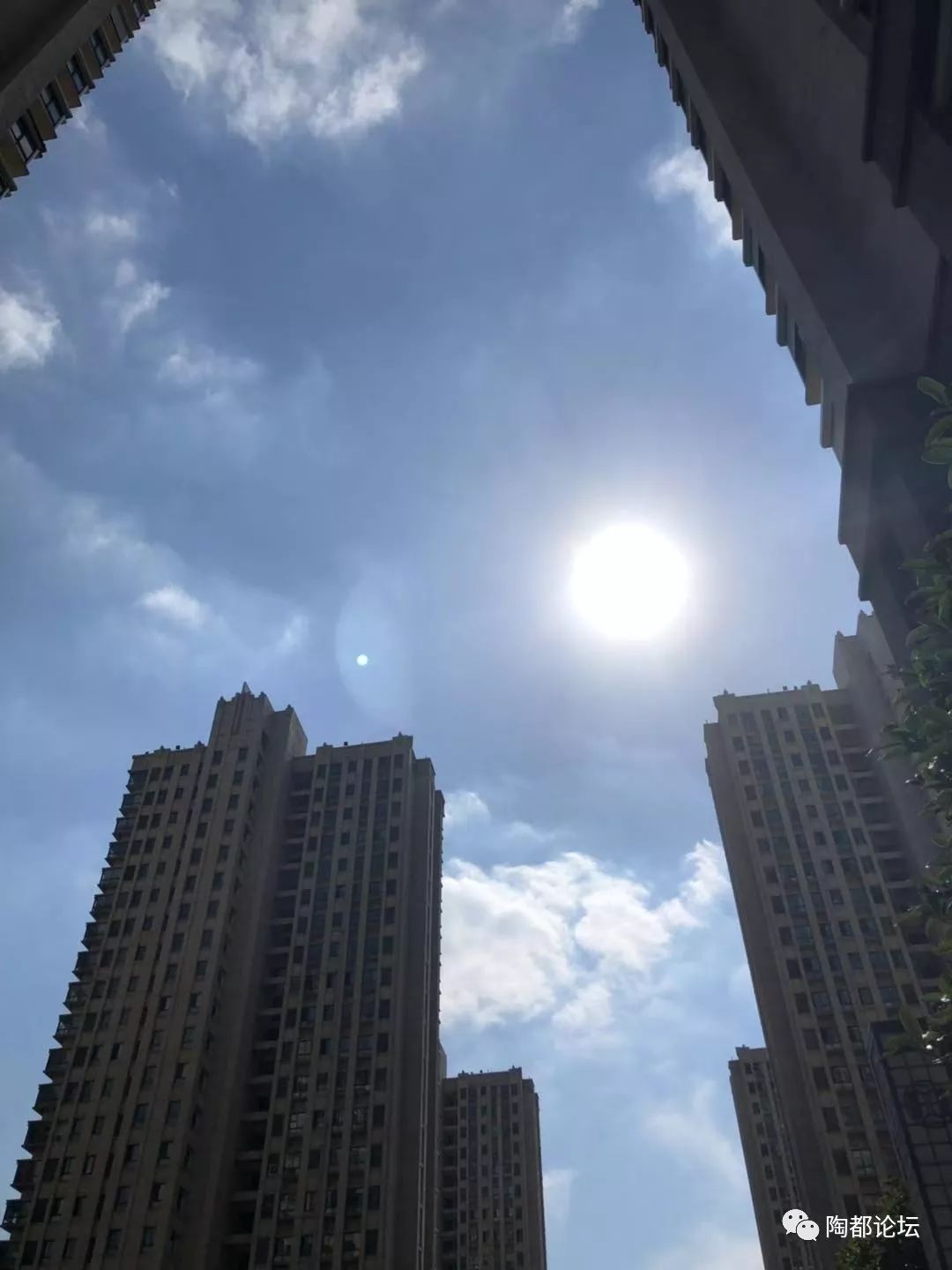 大太阳看着好暖和