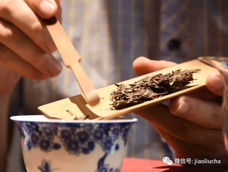 为什么说白茶是最温厚、好脾气的茶？