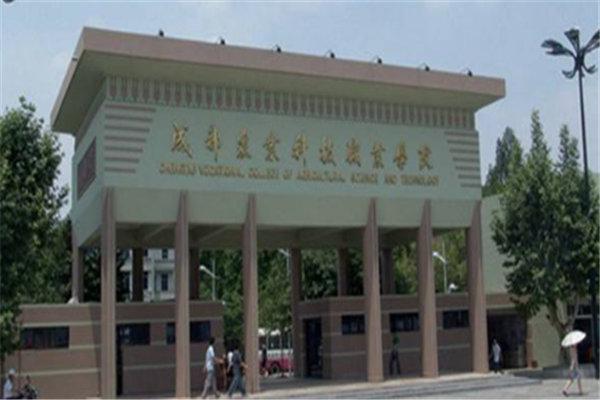 四川的专科学校排名